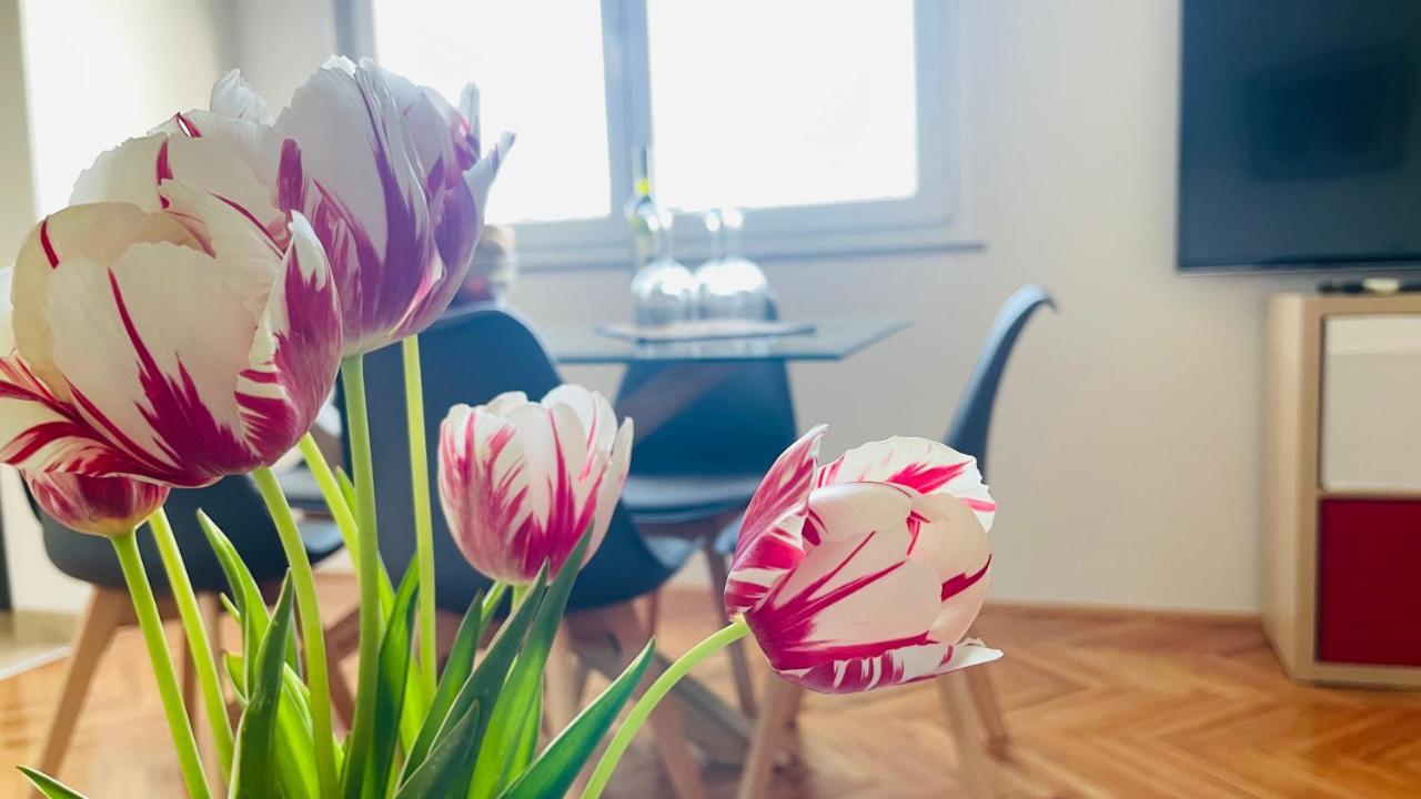 Apartment Iva リエカ エクステリア 写真