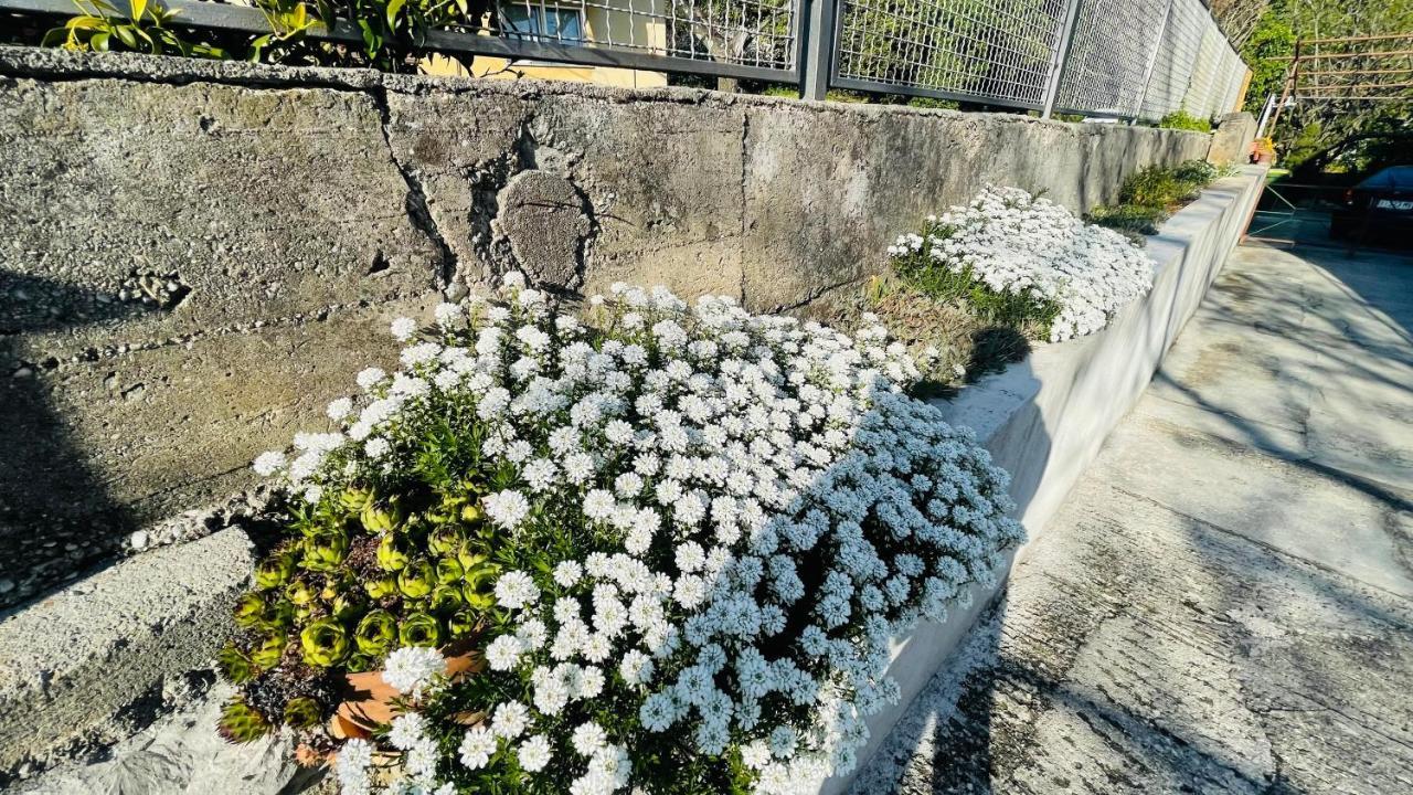 Apartment Iva リエカ エクステリア 写真